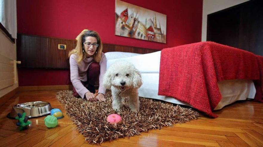 Un perro juega con su kit de juguetes en la habitación de un hotel.