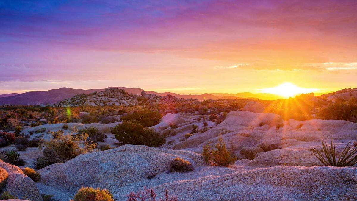 Amanecer Joshua Tree