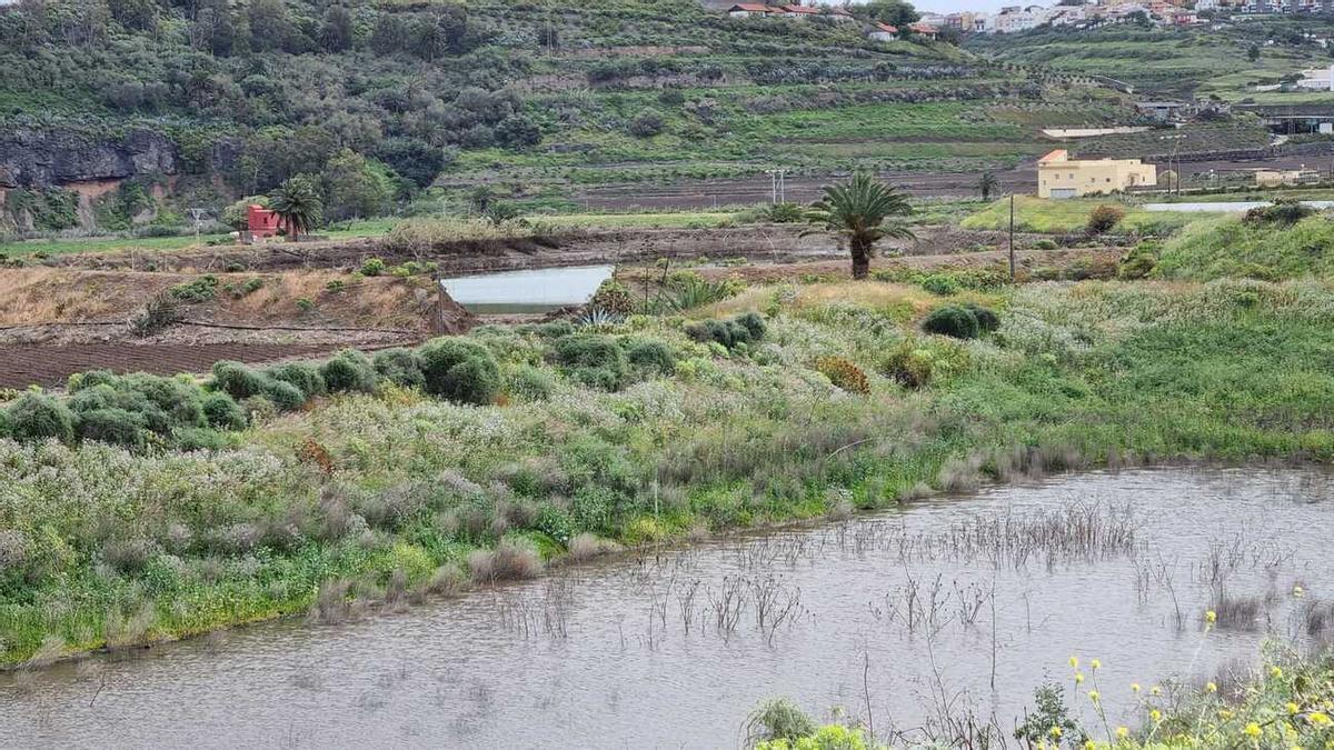 Colapsa un estanque de barro en San Lorenzo