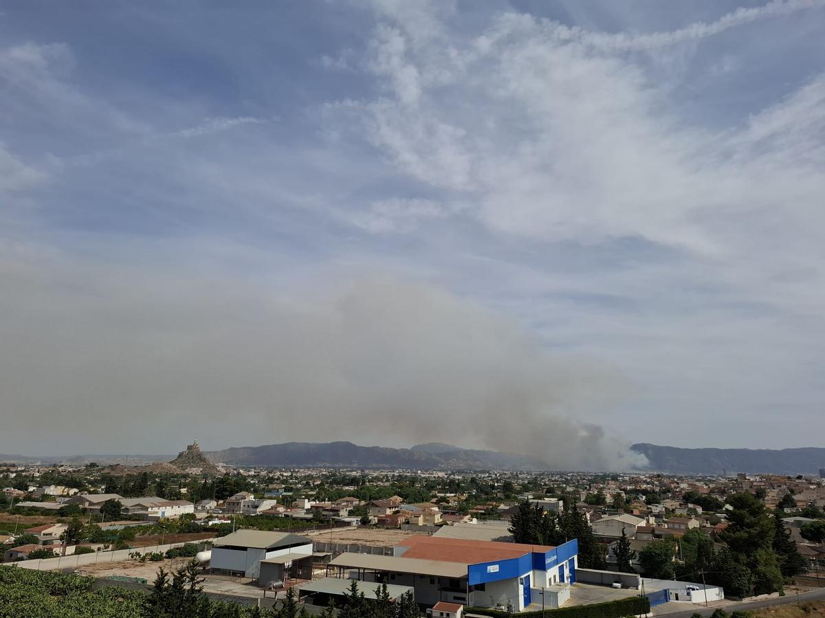 Las imágenes del grave incendio forestal en Los Garres (Murcia)