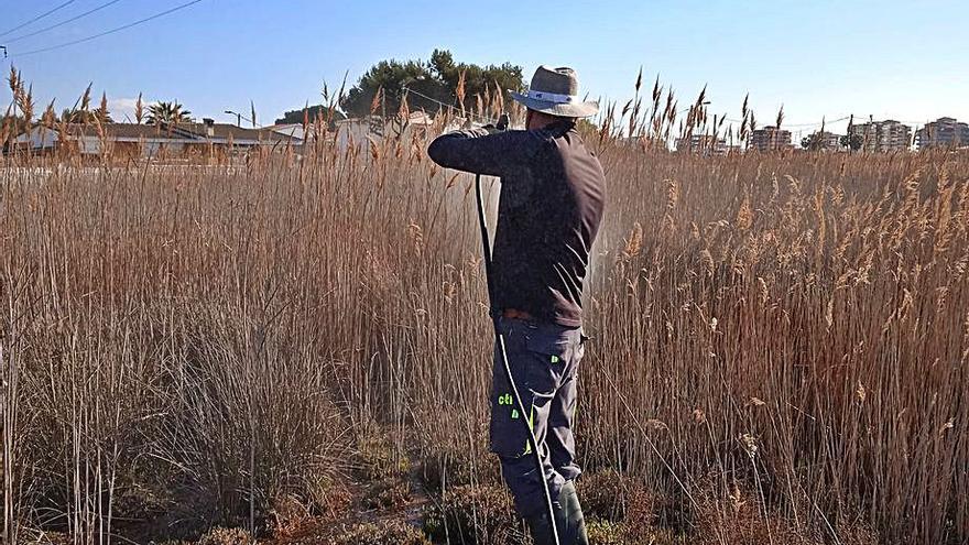 Tratamiento contra los mosquitos en el humedal del Cuadro de Santiago.