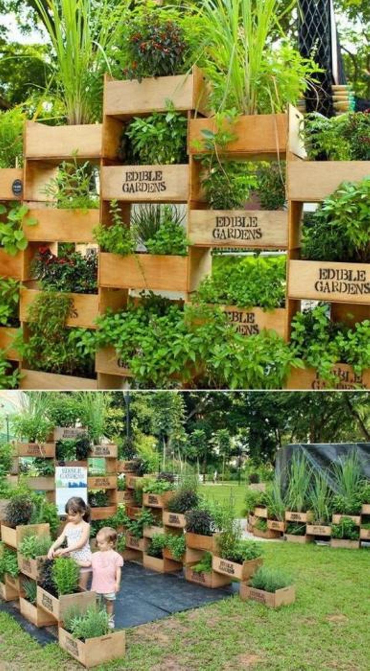 Ideas para un jardín vertical.
