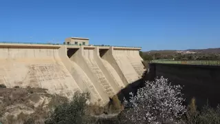 Este es el estado de los pantanos de la cuenca del Segura