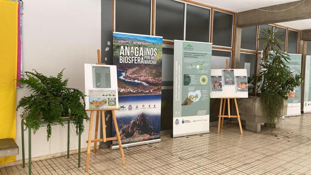 Espacio expositivo por el Día de Canarias en el IES Anaga.