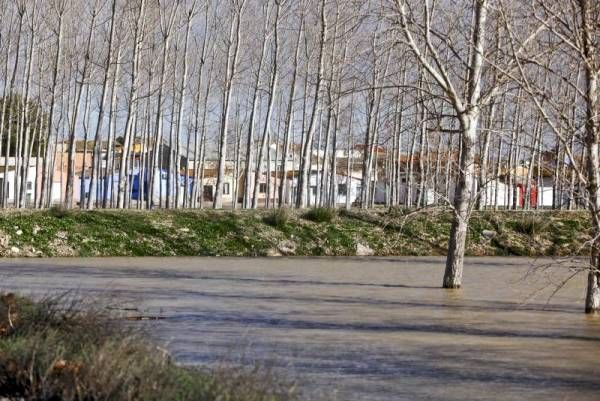 Fotogalería: La crecida del Ebro a su paso por Zaragoza