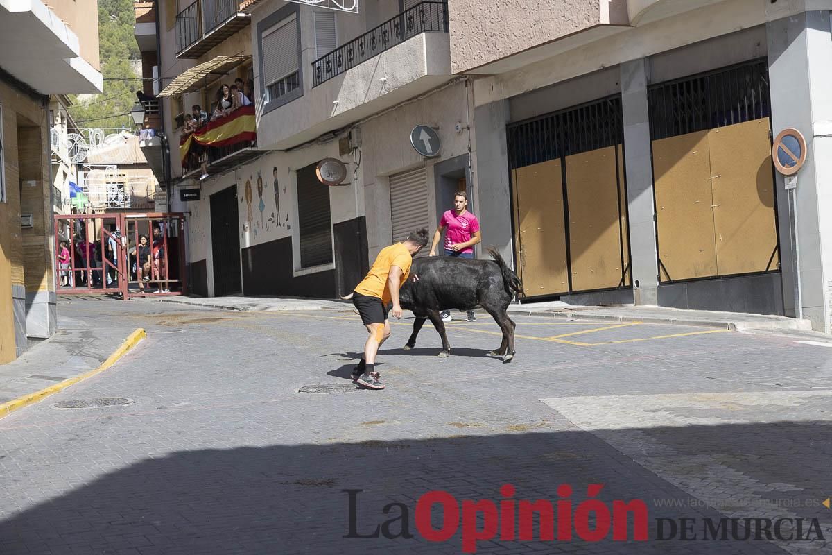 Cuarto encierro en las Fiestas de Moratalla