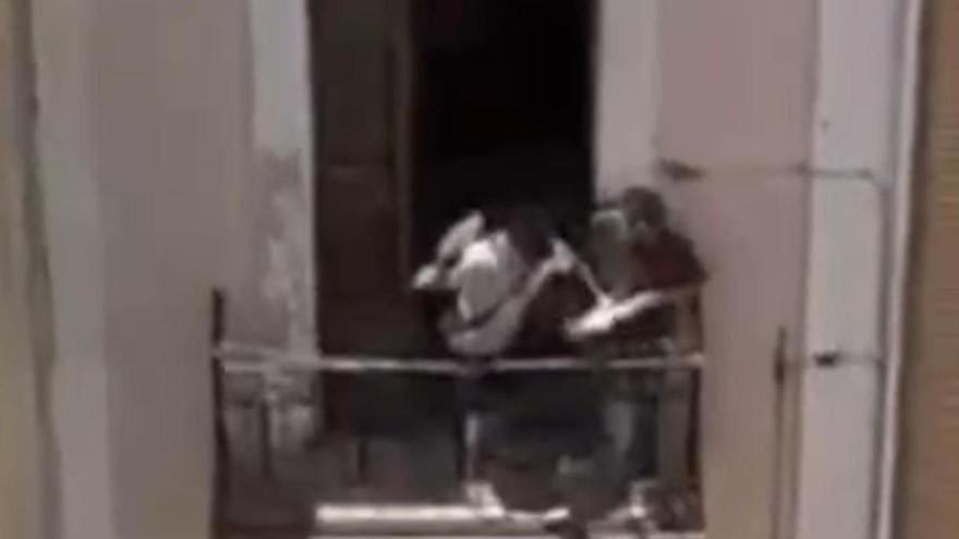 Vídeo: Frustran un intento de okupación ilegal de una vivienda en Castelló