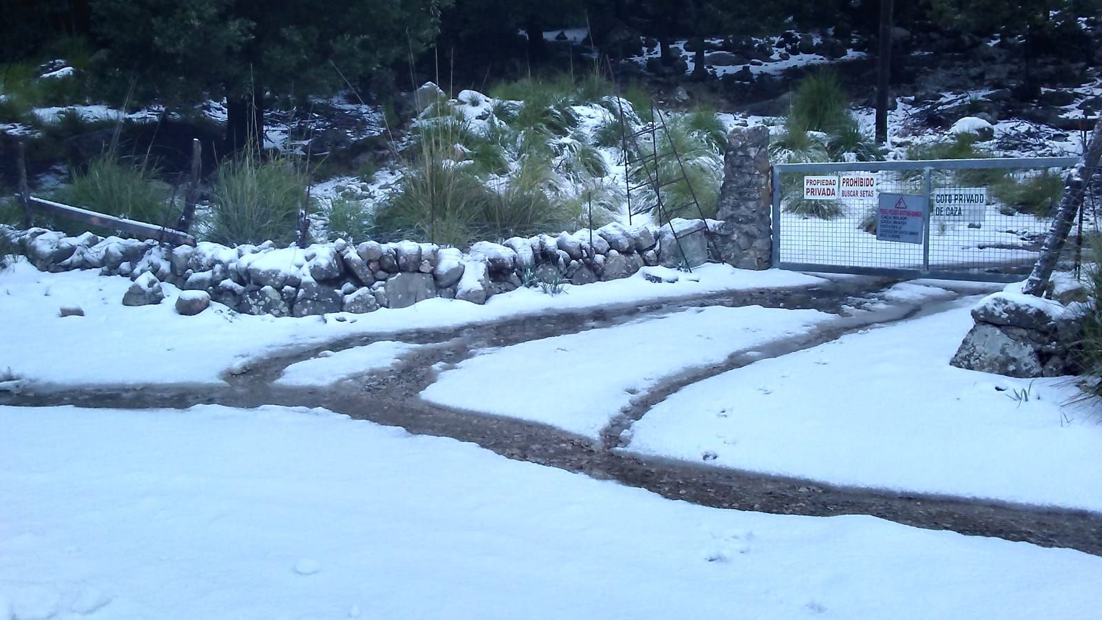 Nieve en la serra de Tramuntana