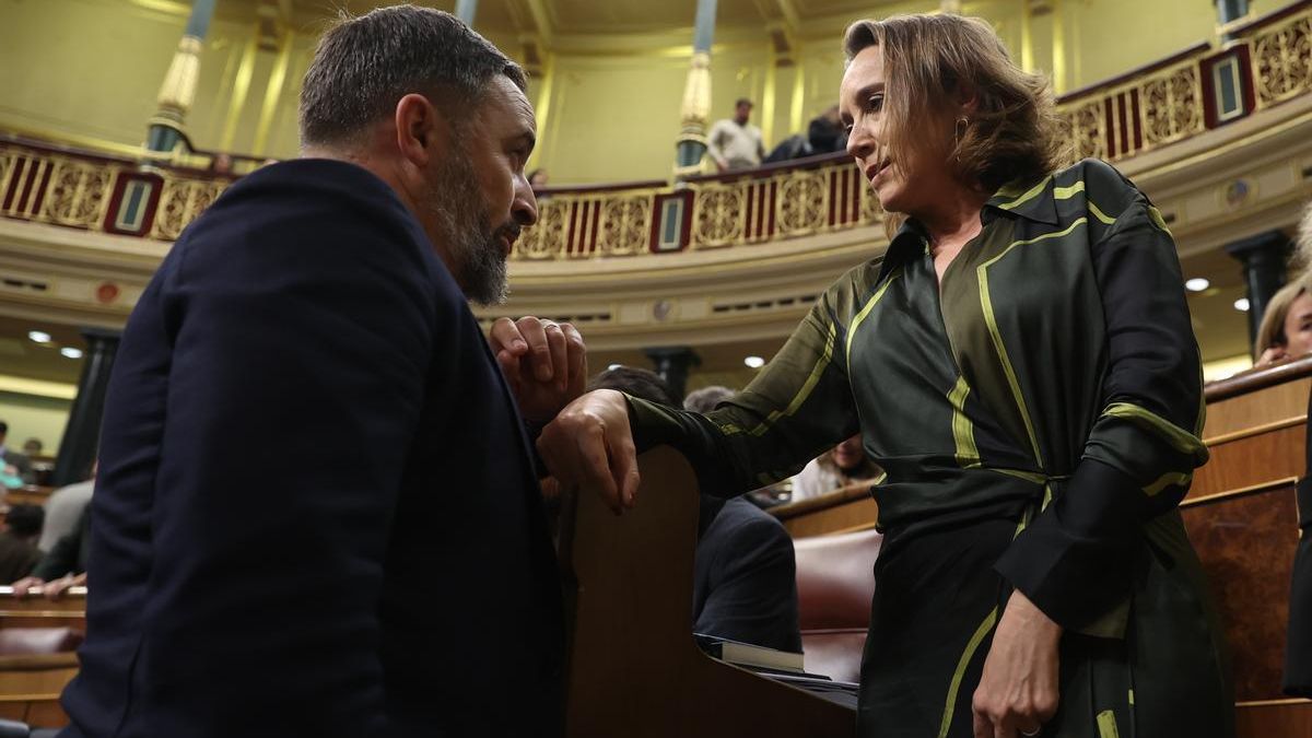 El líder de Vox, Santiago Abascal y la portavoz del PP Cuca Gamarra, durante el pleno extraordinario del Congreso de los Diputados.