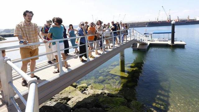 Participantes en uno de los nuevos pantalanes de la margen izquierda de la ría avilesina. | MIKI LÓPEZ