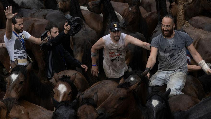 A Rapa das Bestas chega á gran pantalla de Berlín