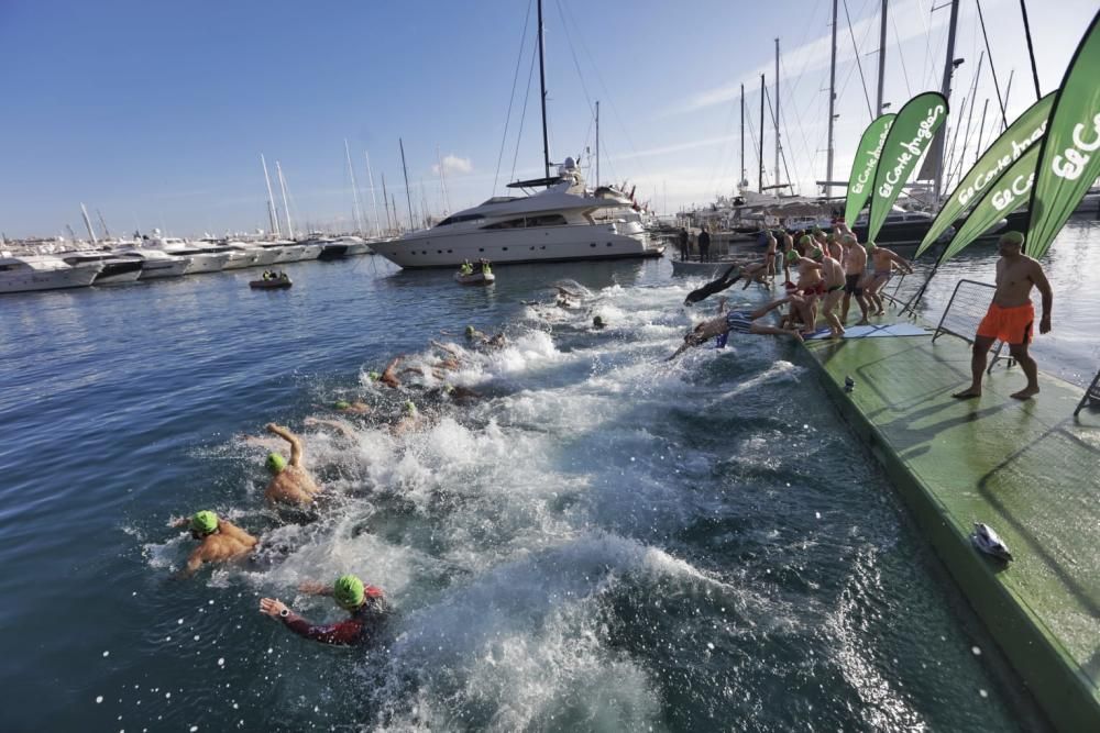 Weihnachtsschwimmen in Palma de Mallorca