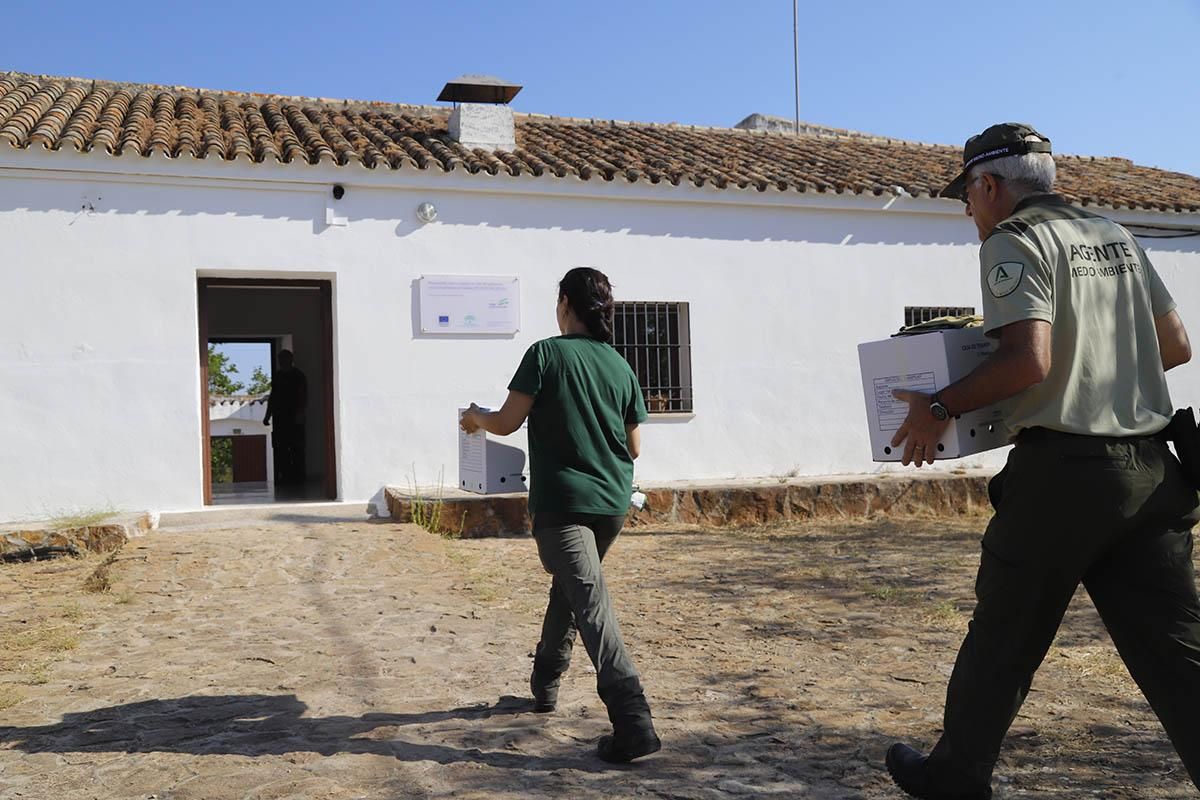 El Centro de recuperación de especies amenazadas de Córdoba, en imágenes