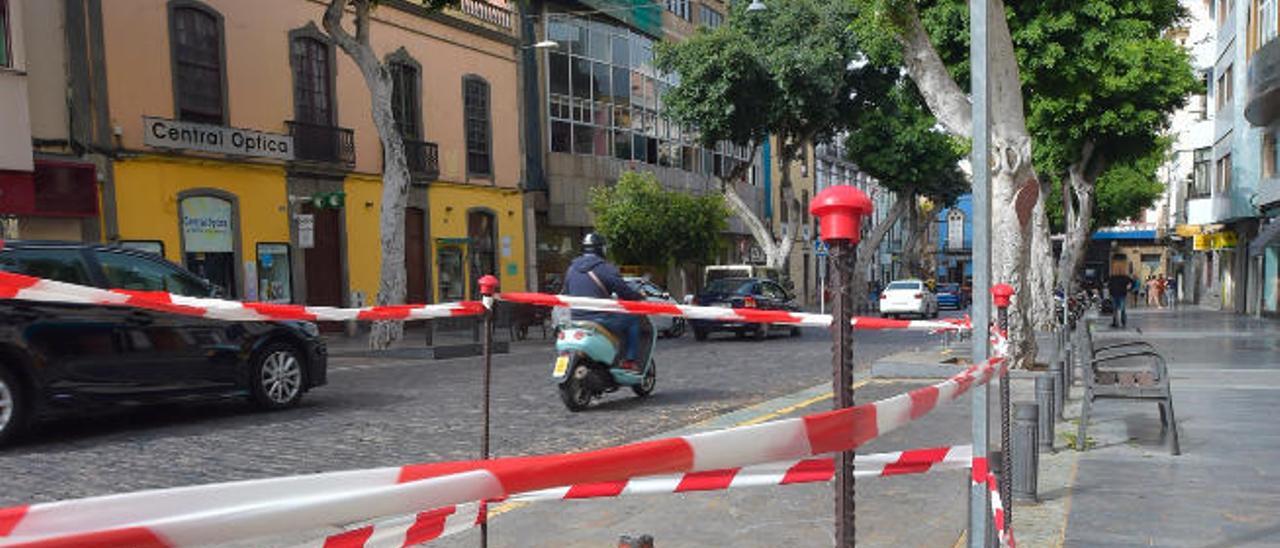 &#039;Cae&#039; otro laurel centenario