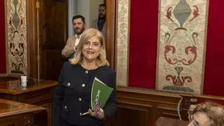 Vox se suma a la izquierda y exige la dimisión de Villar si se confirma que sabía de Les Naus y no actuó