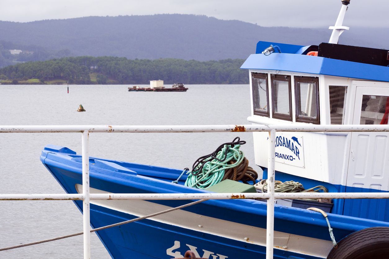 Lla ría de Arousa es una de las principales zonas productoras de mejillón de Europa