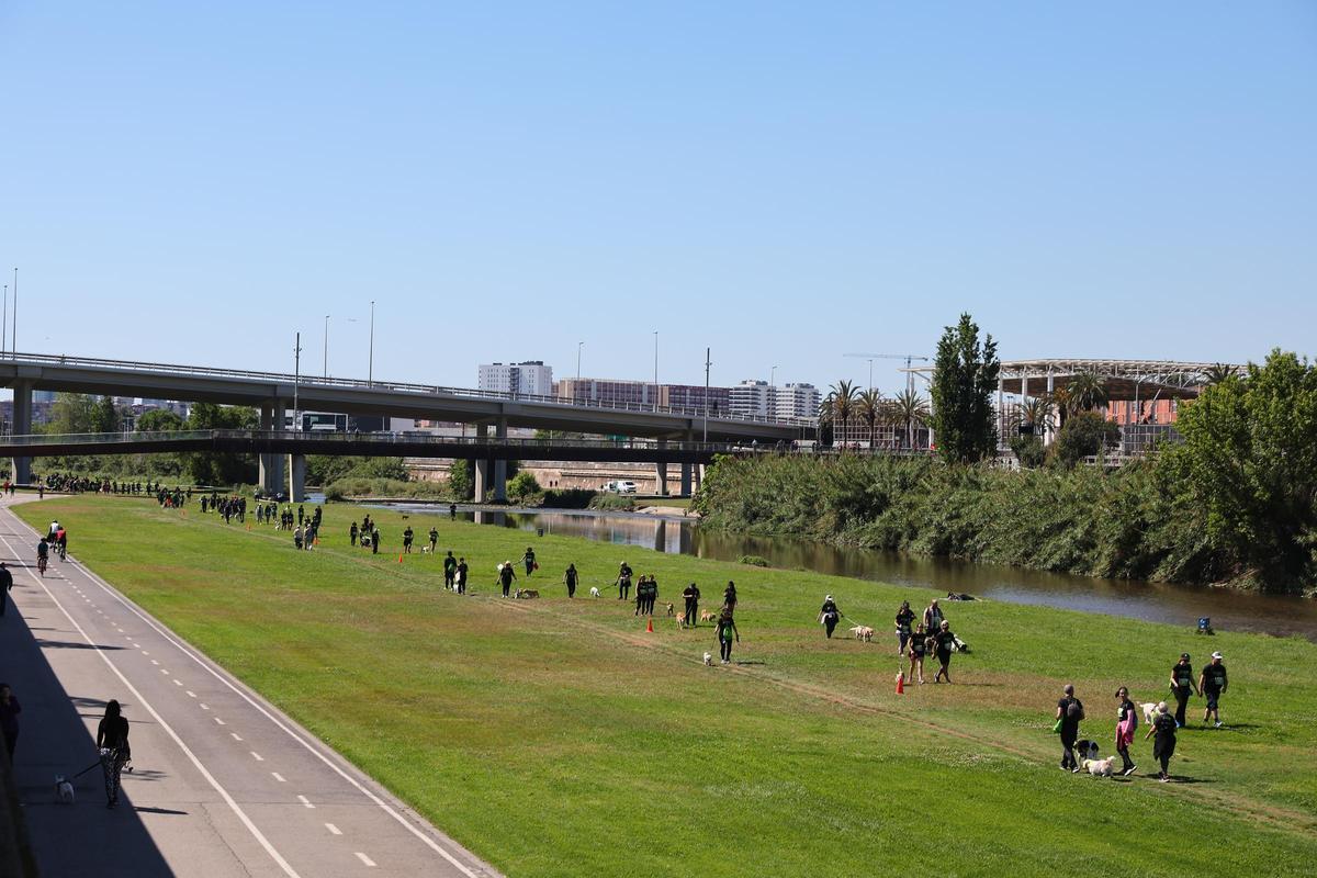 Las mejores imágenes de la Can We Run Barcelona