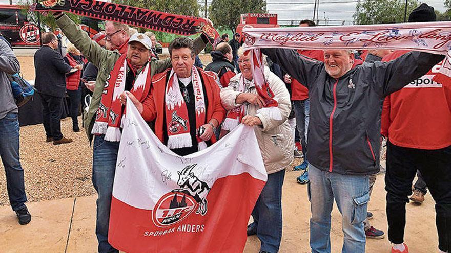 Begleiten den 1. FC Köln auch beim Testspiel gegen Real Mallorca: Anhänger des Traditionsclubs aus der Domstadt in Son Bibiloni.