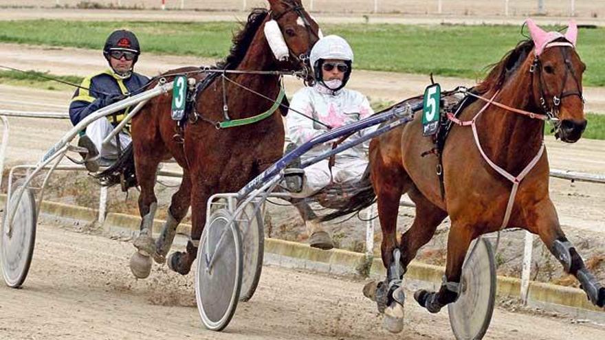 Tesben Rush (5), con Miquel Mestre, ante Silence des Bois (3).