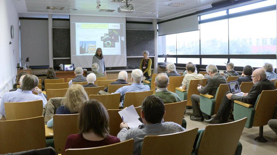 Experts de tota Europa es reunixen a València per a debatre sobre física