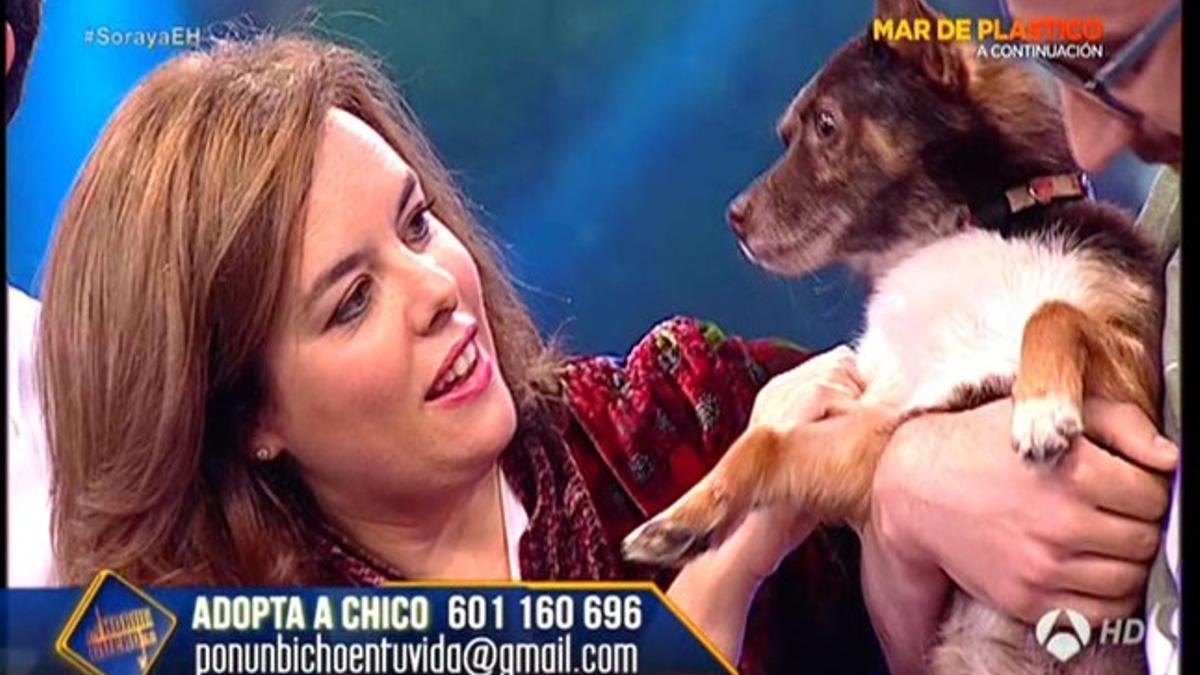 Soraya Sáenz de Santamaría en 'El hormiguero'