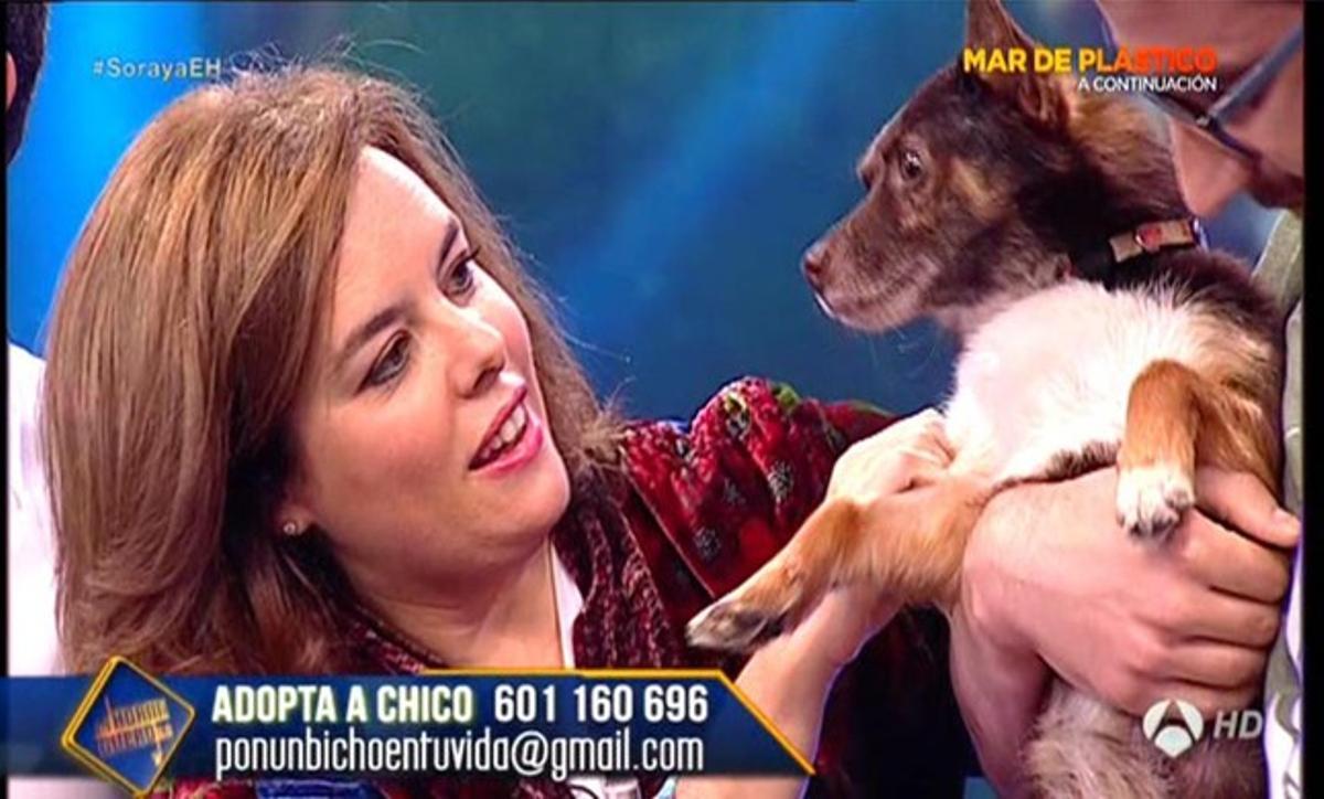 La vicepresidenta Soraya Sáenz de Santamaría, en un moment del programa ’El formiguer’, d’Antena 3.