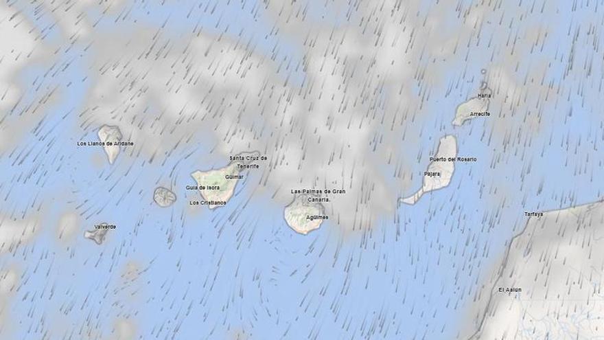 Aemet Issues New Yellow Warning for Tenerife Metropolitan Area: Winds Expected to Reach 70 km/h This Sunday Aemet Issues New Yellow Warning for Tenerife Metropolitan Area: Winds Expected to Reach 70 km/h This Sunday