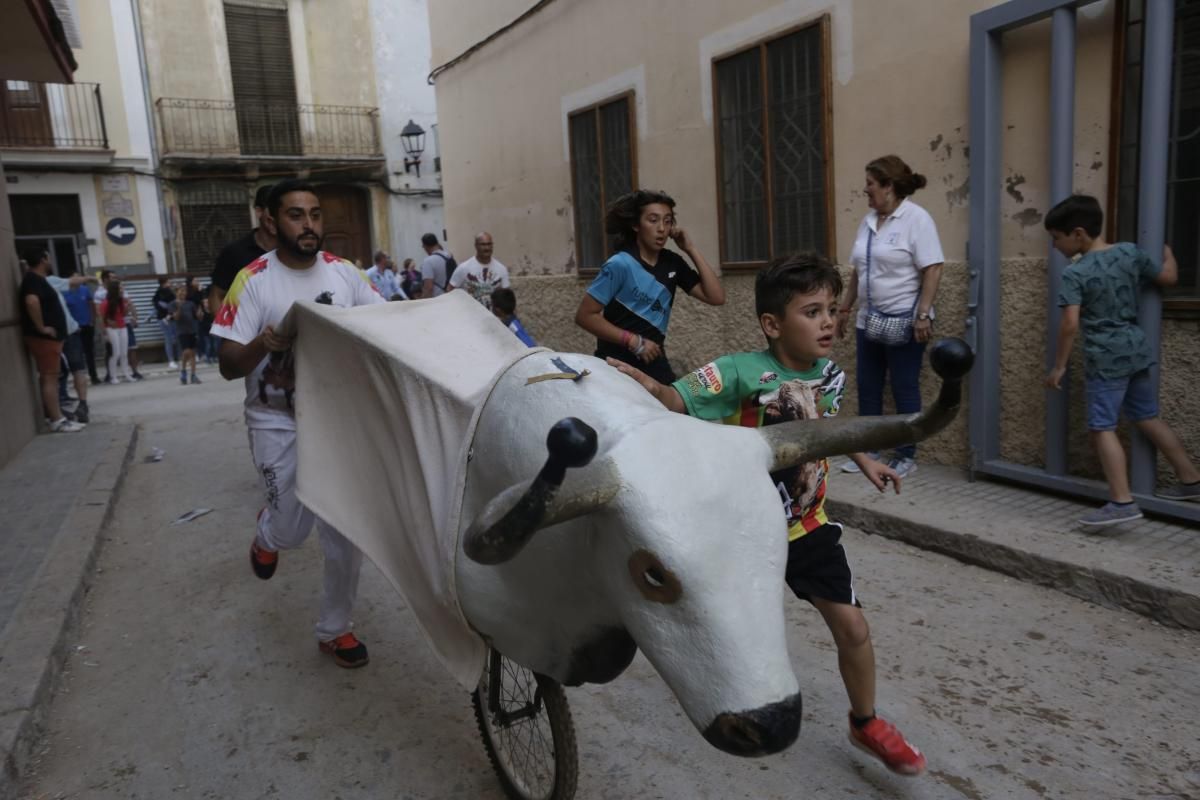 Fiestas patronales de Santa Quitèria de almassora III