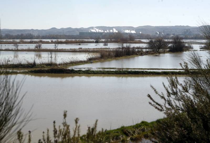 Fotogalería de la visita de Rajoy a la ribera del Ebro