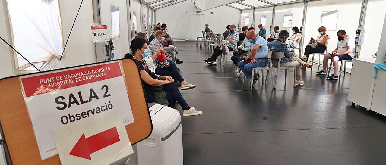 Pacientes de alto riesgo esperando para vacunarse en las carpas junto al H. General de Castelló. | G. UTIEL