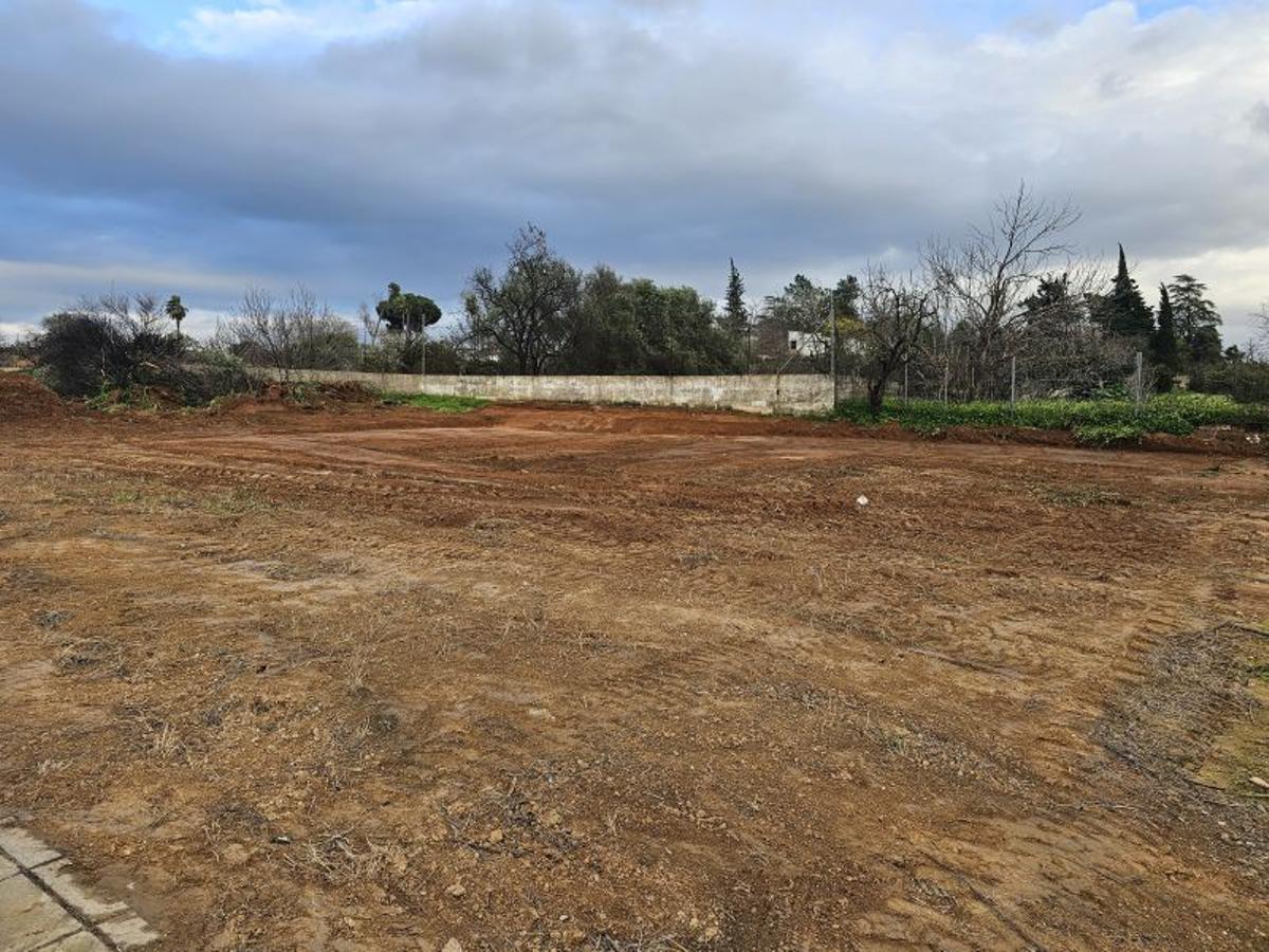 Solar Sanlúcar la Mayor