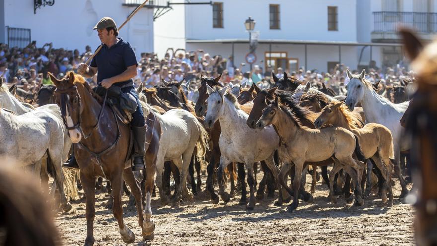 La tradicional Saca de las Yeguas de Doñana a su paso por la aldea de El Rocío en una imagen de archivo.