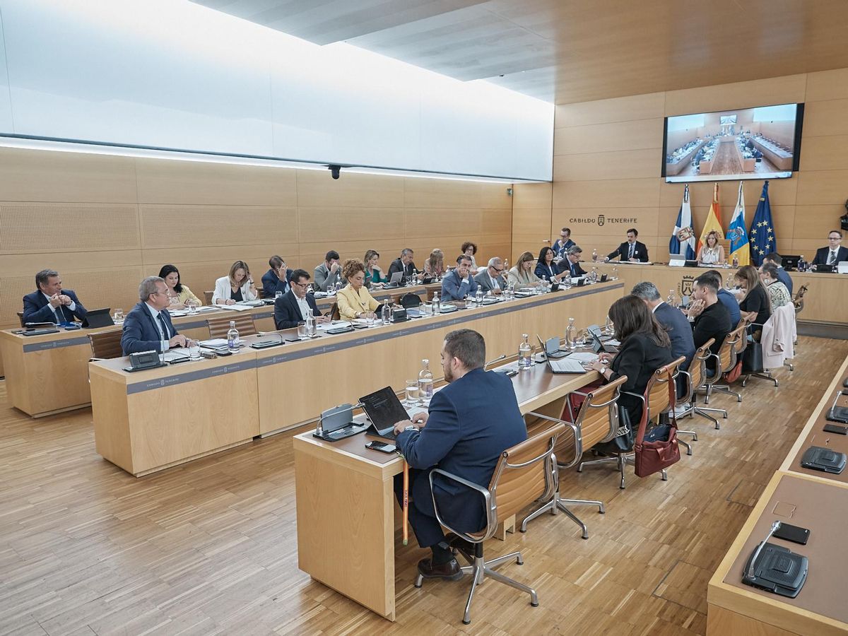 Imagen del pleno de junio en el Cabildo de Tenerife