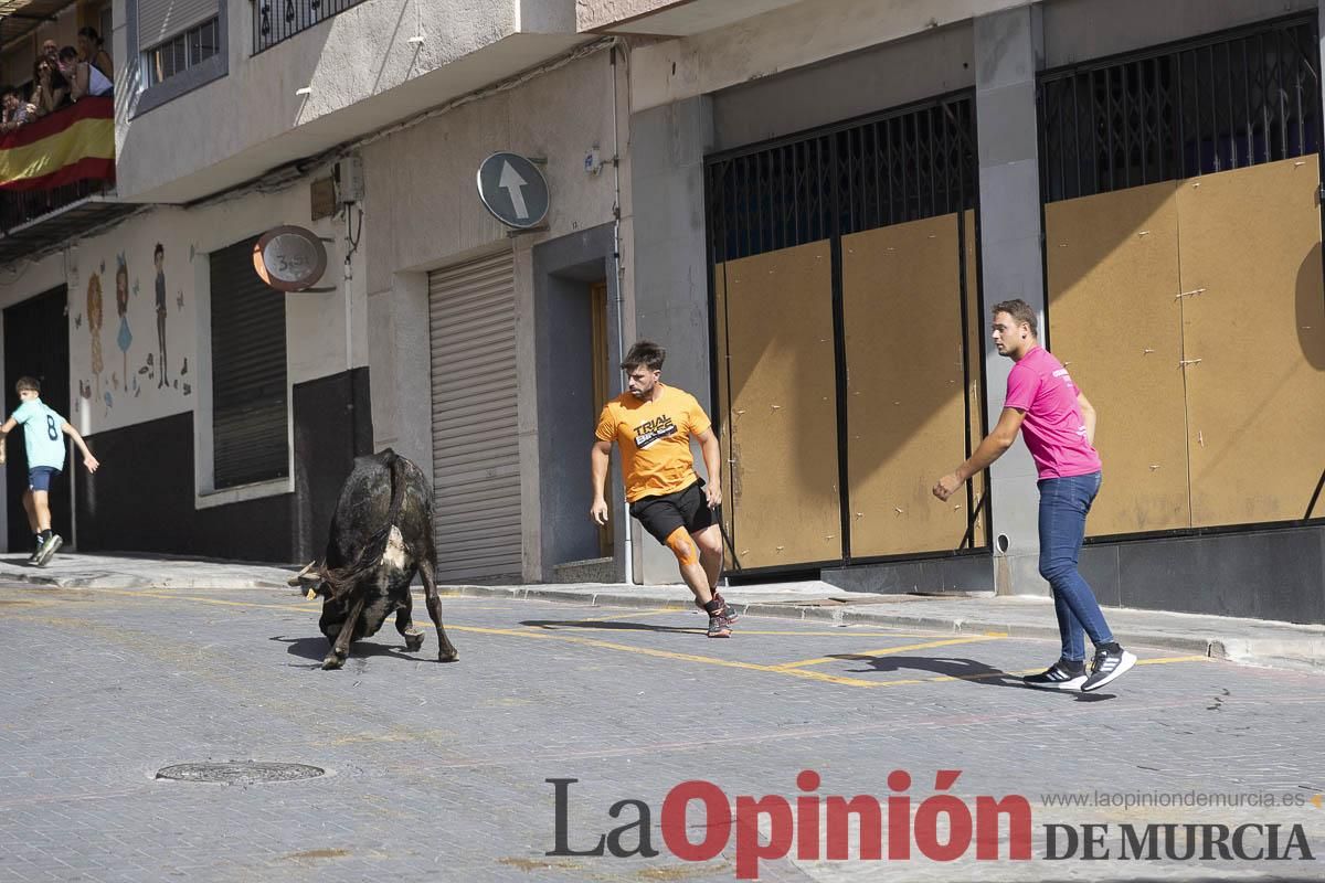Cuarto encierro en las Fiestas de Moratalla