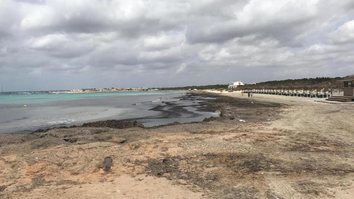 La playa de sa Ràpita, en una imagen de archivo