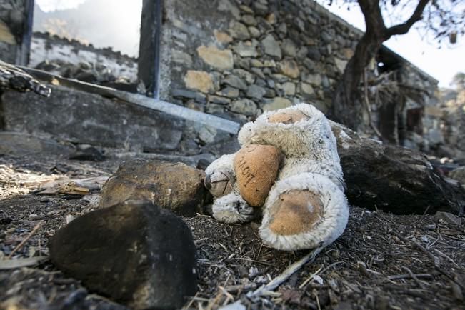 INCENDIO EN LA PALMA