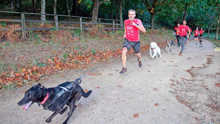 ¿Te gusta el deporte y tienes perro? Apúntate a la primera &#039;Can We Run&#039; de Vigo