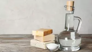 Cómo eliminar pulgones con vinagre y jabón: por qué esta mezcla es efectiva y cómo aplicarla
