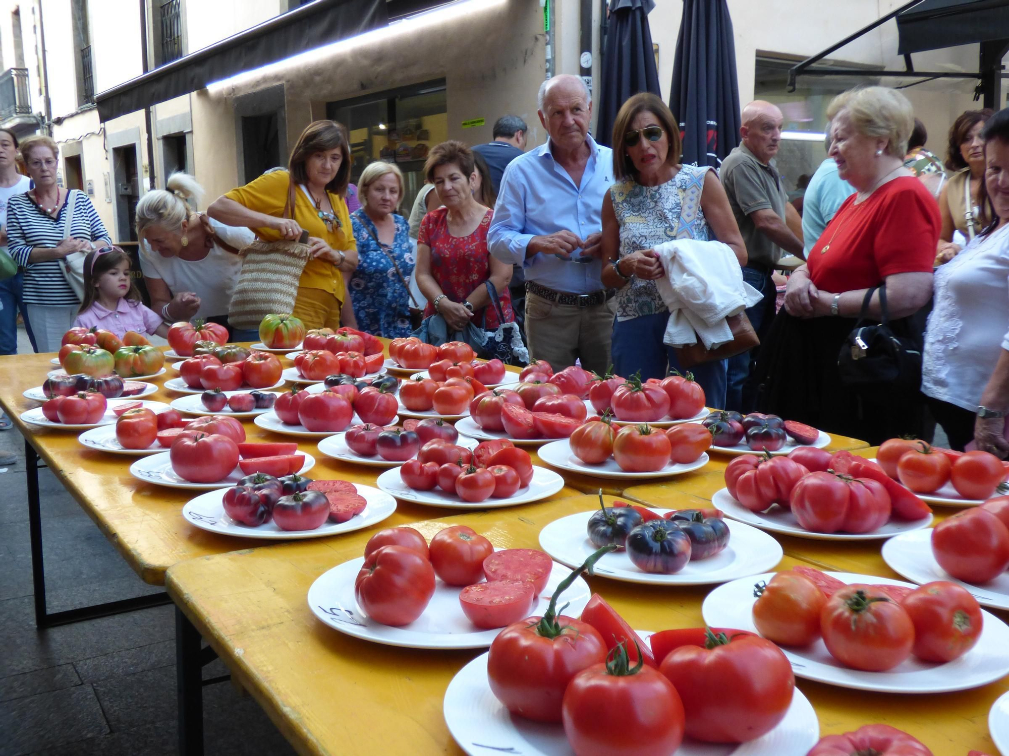 Así fue la elección del mejor tomate de Cangas del Narcea