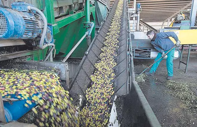 ¿Quién recibe más ayudas de la PAC en Córdoba?
