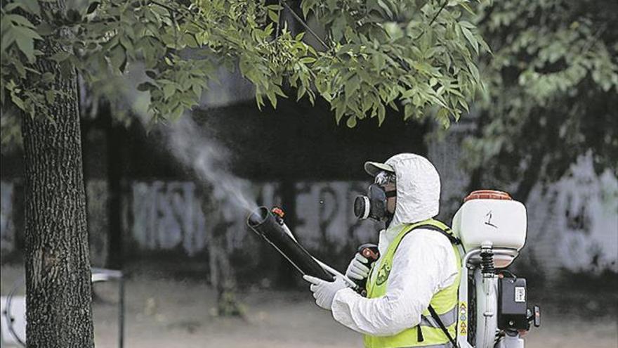 Castellón activa el protocolo por un posible caso de dengue