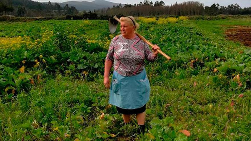 Donald Trump &#039;trabaja&#039; el campo en Galicia: la historia real de una foto viral