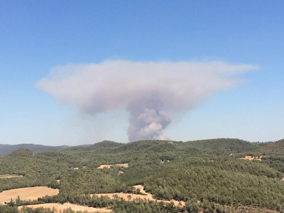 Incendi forestal a Sant Feliu Sasserra