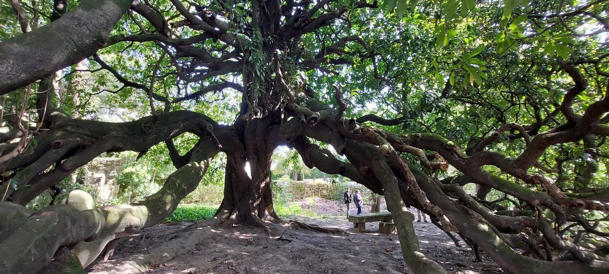 Así es el desconocido Pazo da Pastora de Vigo