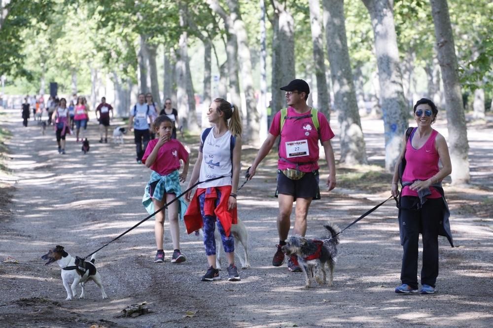 I Marxa Solidària Canina de Diari de Girona