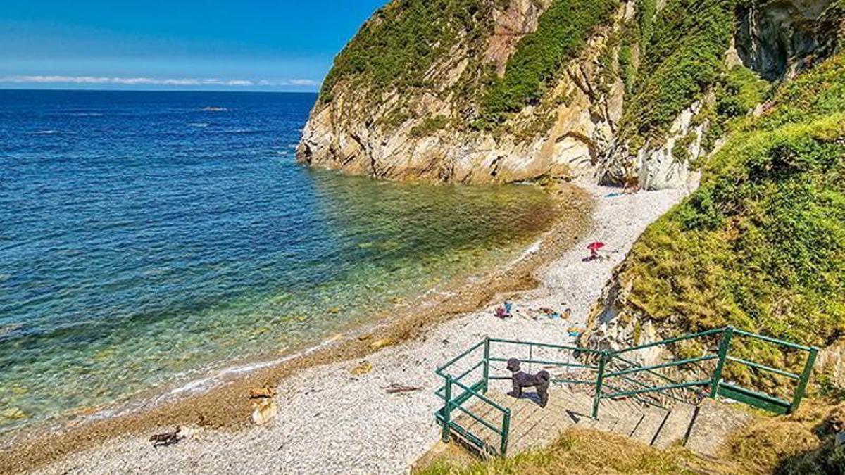 Las playas caninas asturianas