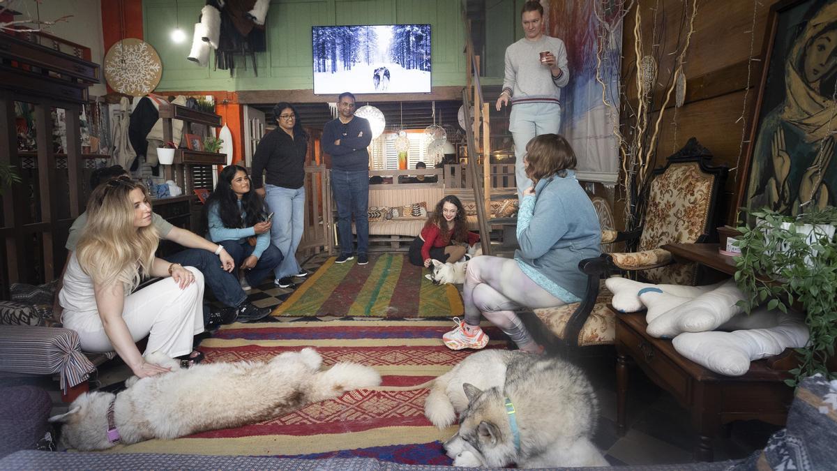 Natalia y Valentina enseñan a los visitantes curiosidades de los huskys.