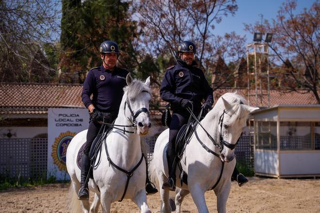La unidad de caballería de la Policía Local de Córdoba cumple 150 años