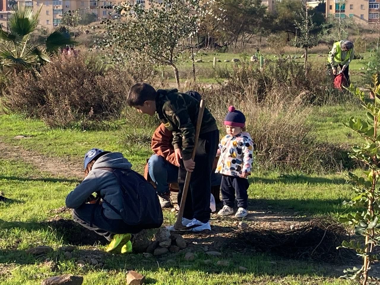 Bosque Urbano planta otros 30 árboles en los antiguos terrenos de Repsol