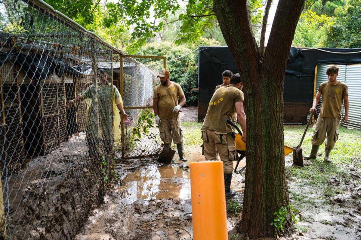 Trabajadores y voluntarios de Safari Park achicaron agua durante todo el fin de semana
